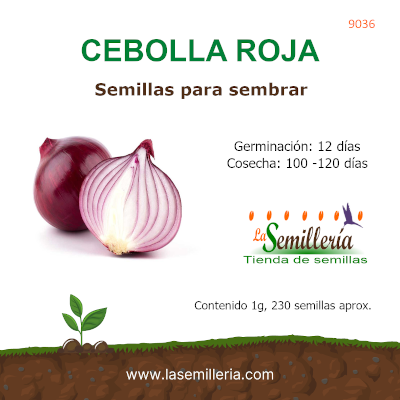 Foto de Sobre de Semillas de Cebolla Roja