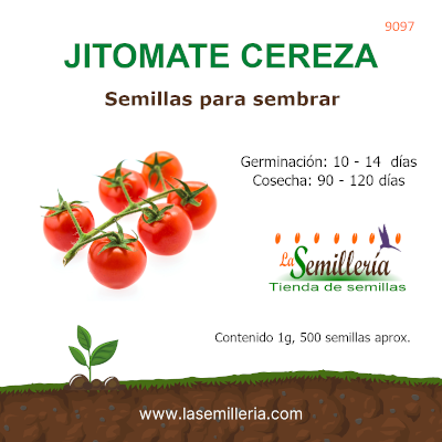 Foto de Sobre de Semillas de Jitomate Cereza