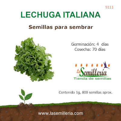 Foto de Sobre de Semillas de Lechuga Italiana