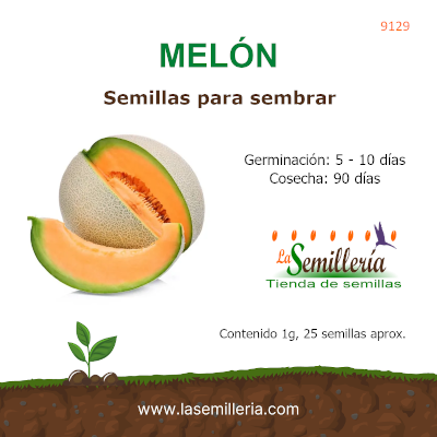 Foto de Sobre de Semillas de Melón