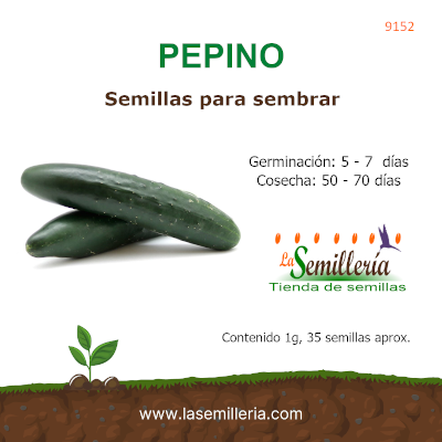 Foto de Sobre de Semillas de Pepino