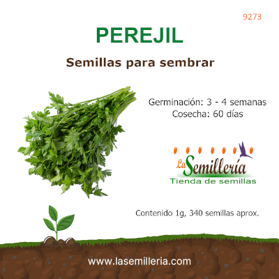 Foto de Sobre de Semillas de Perejil