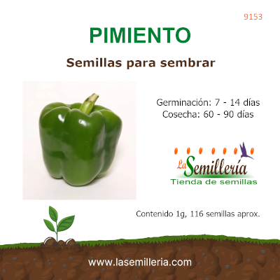 Foto de Sobre de Semillas de Pimiento