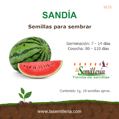 Foto de Sobre de Semillas de Sandia